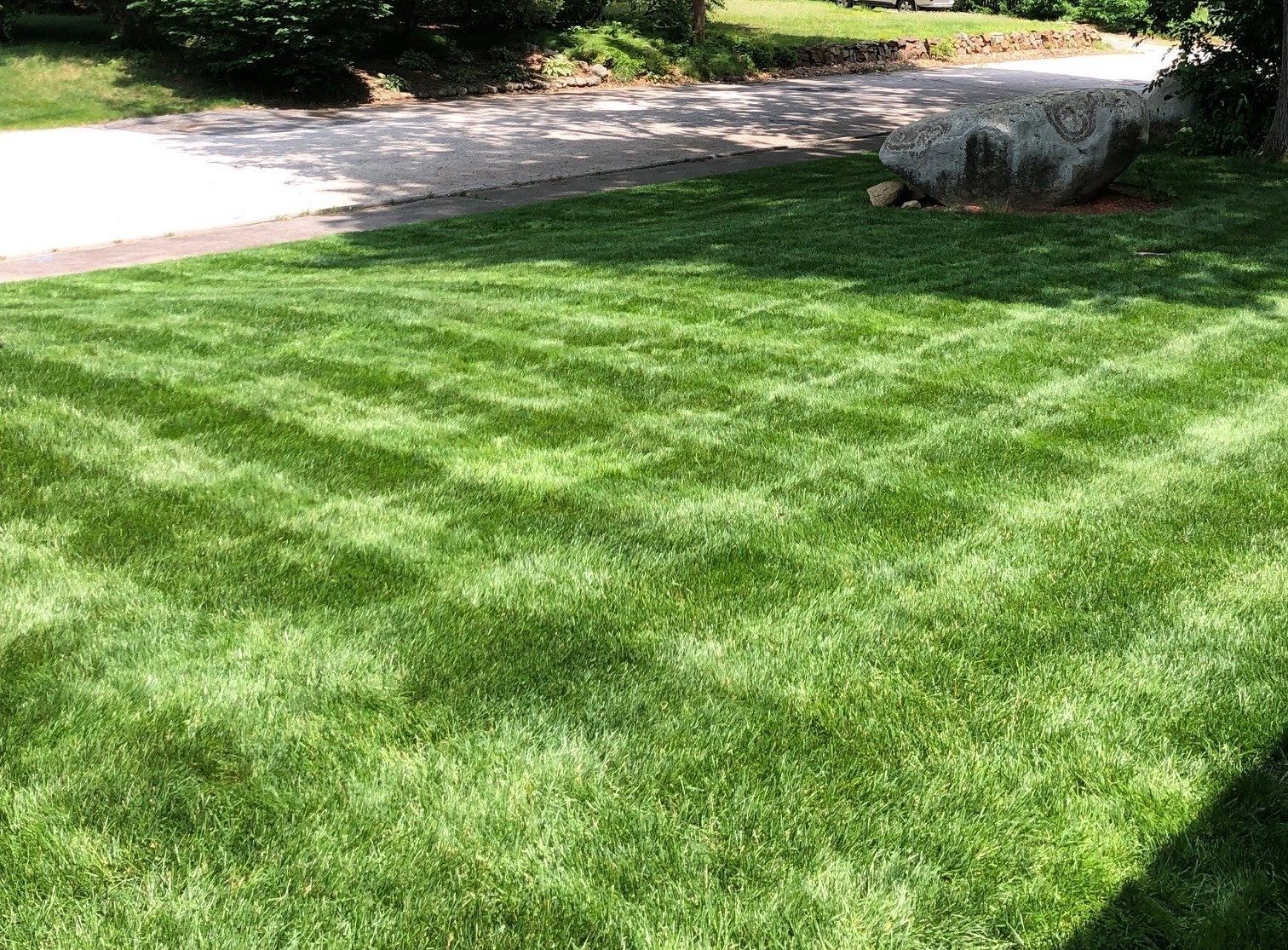Spring Lawn Fertilizer Application