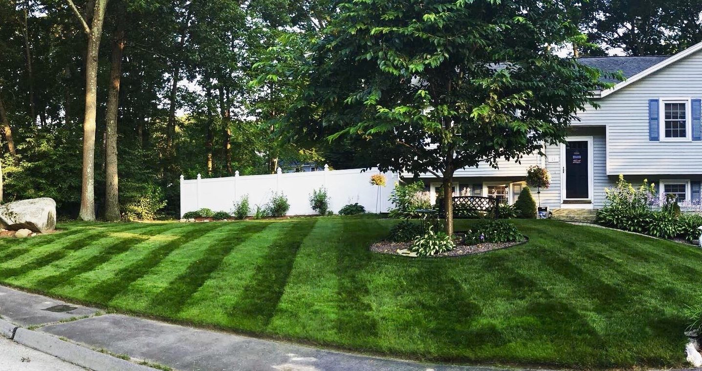 front-yard-stripes