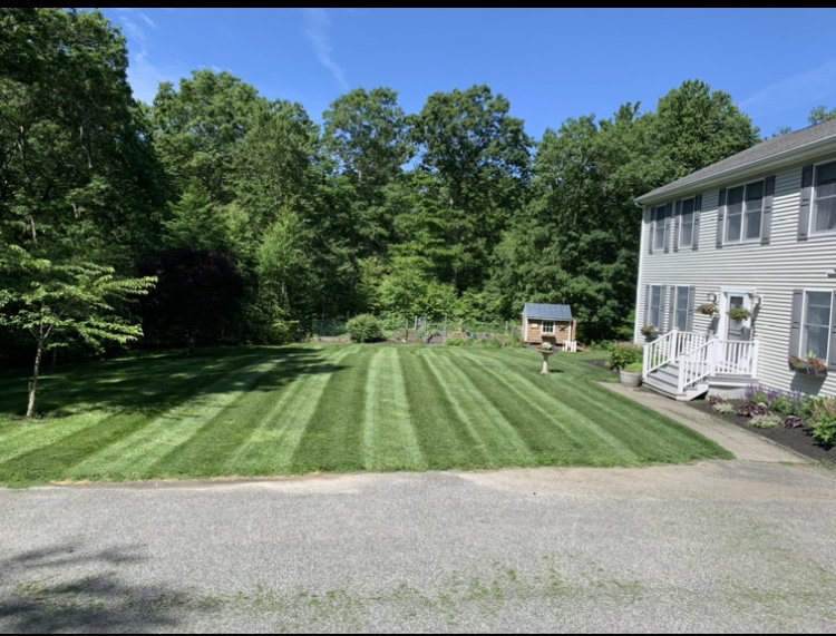 Healthy green turf in October