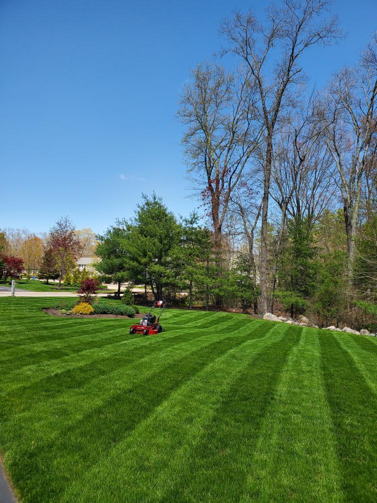Lush Lawn in Franklin