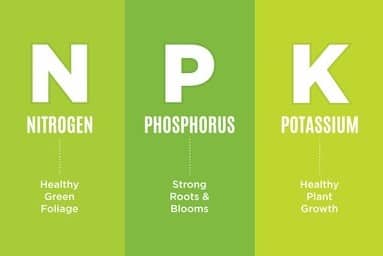 Lawn Care Acronyms NPK