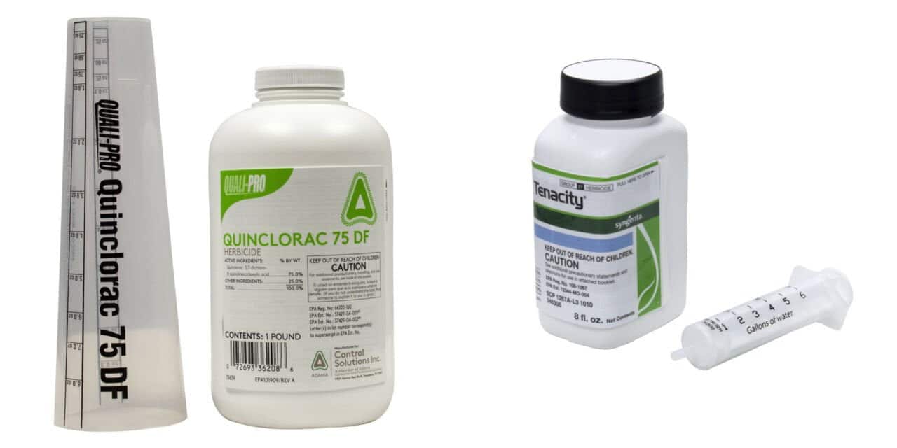 Quinclorac vs Tenacity