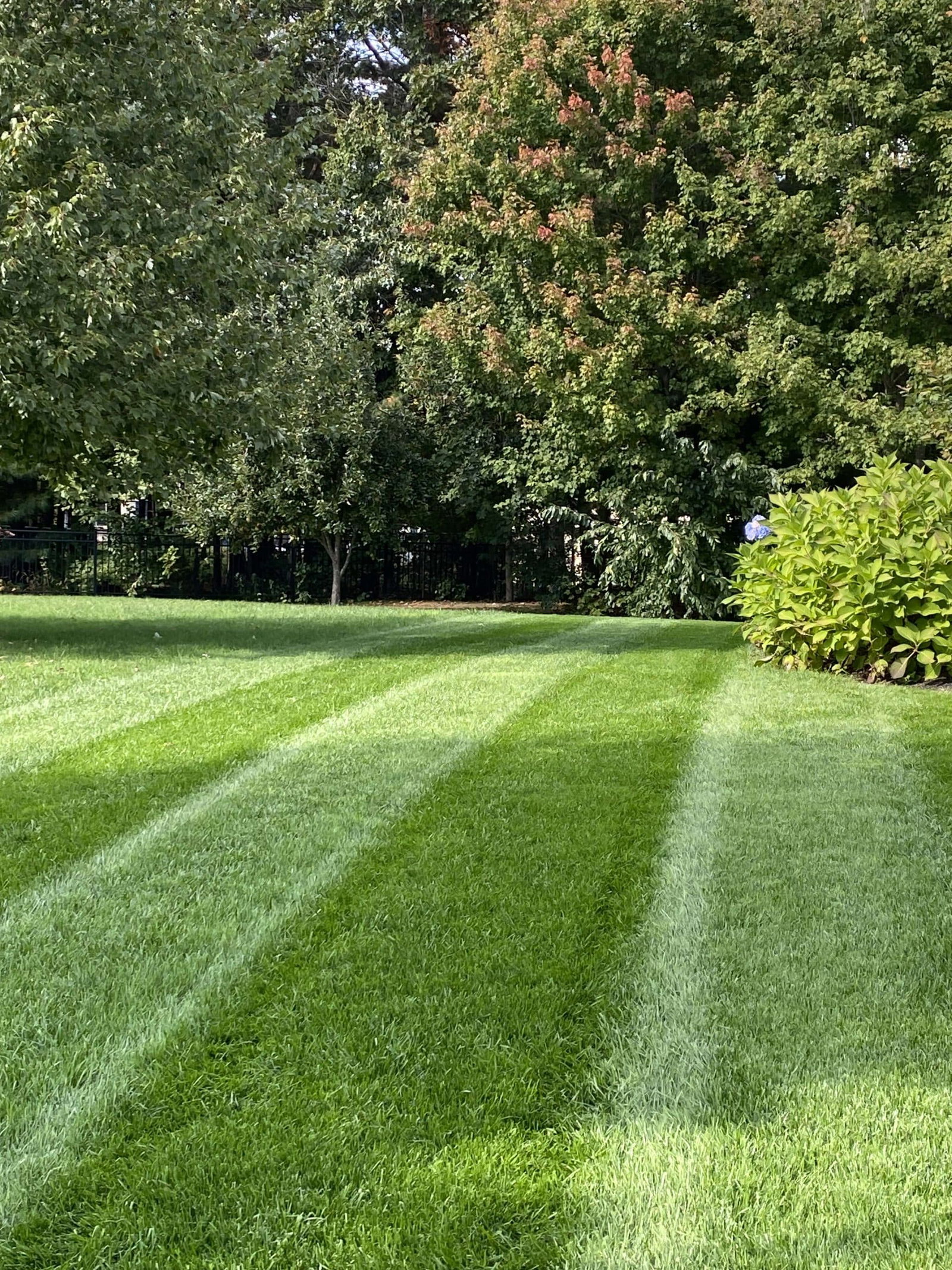 Lawn Stripes in 2023 - Lawn Phix